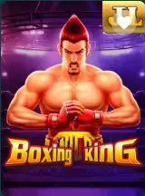 CK444 Boxing King crash game